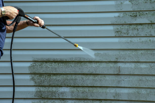 Best Residential Pressure Washing Services  in Rantoul, IL