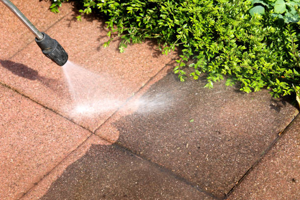 Best Best Pressure Washing Companies  in Rantoul, IL